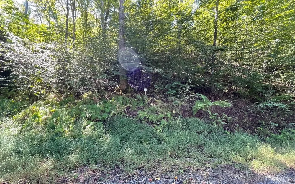 LOT 35 Hidden River Hayesville, NC 28904