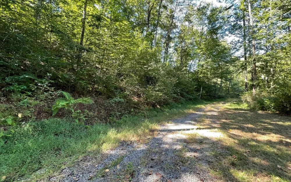 LOT 35 Hidden River Hayesville, NC 28904