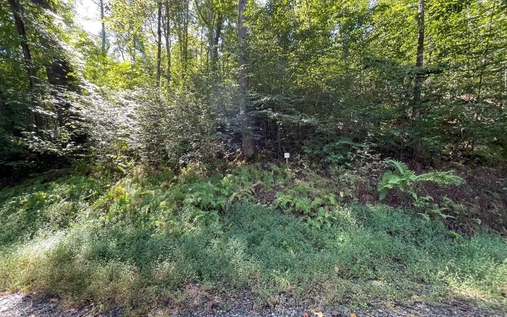 LOT 35 Hidden River Hayesville, NC 28904