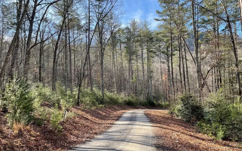 LOT 35 Hidden River Hayesville, NC 28904
