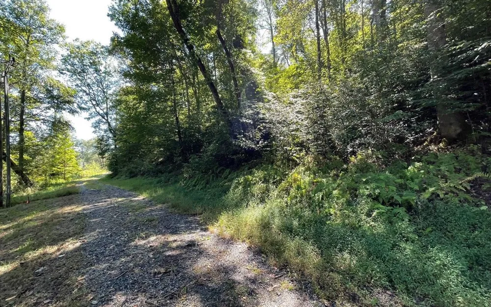 LOT 35 Hidden River Hayesville, NC 28904