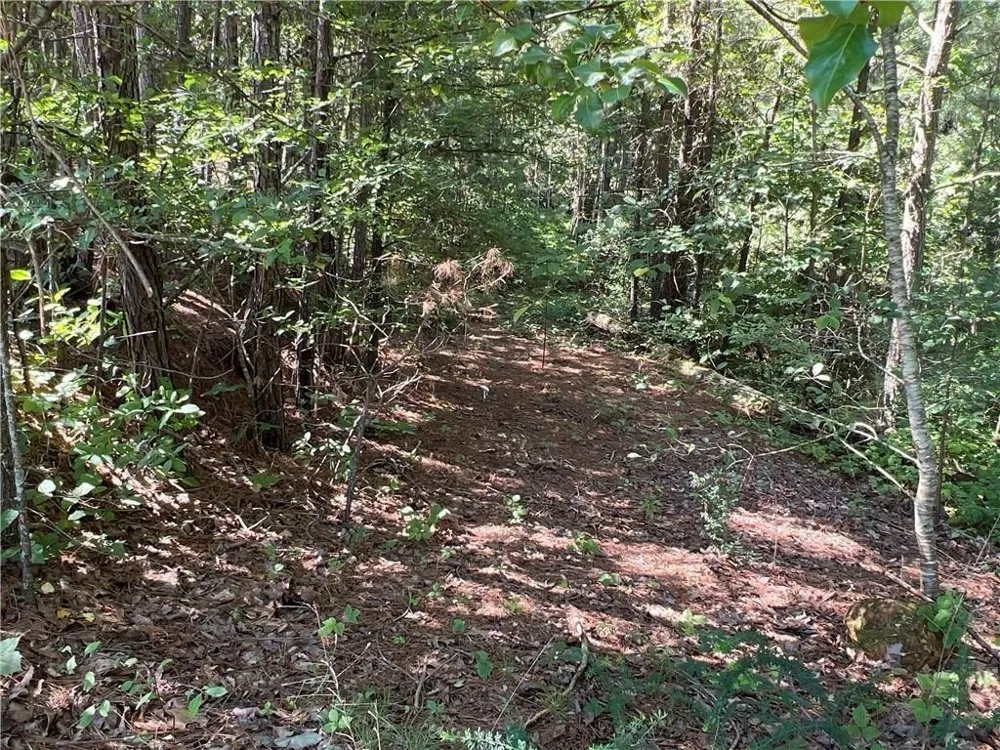 16 Hawks Branch LN White, GA 30184