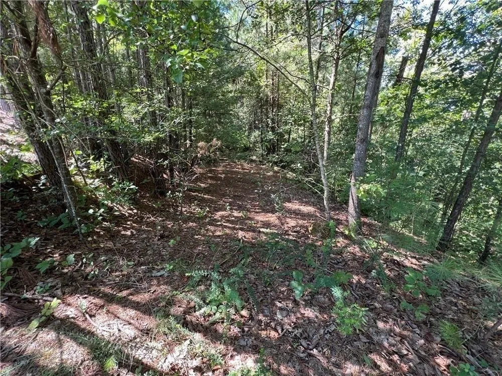 16 Hawks Branch LN White, GA 30184