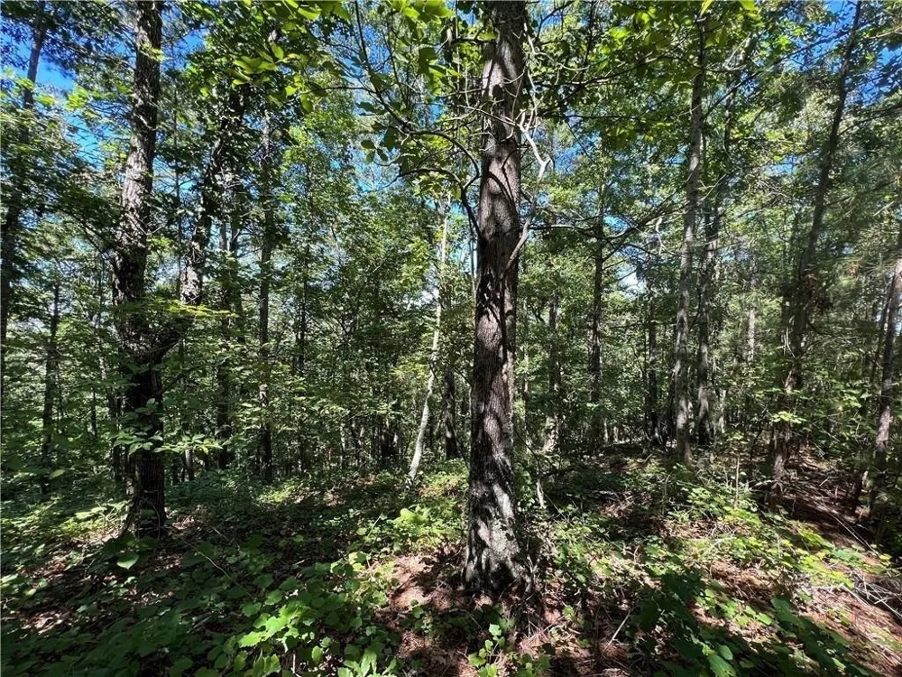 16 Hawks Branch LN White, GA 30184