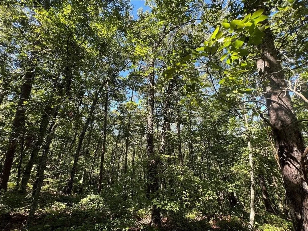 16 Hawks Branch LN White, GA 30184