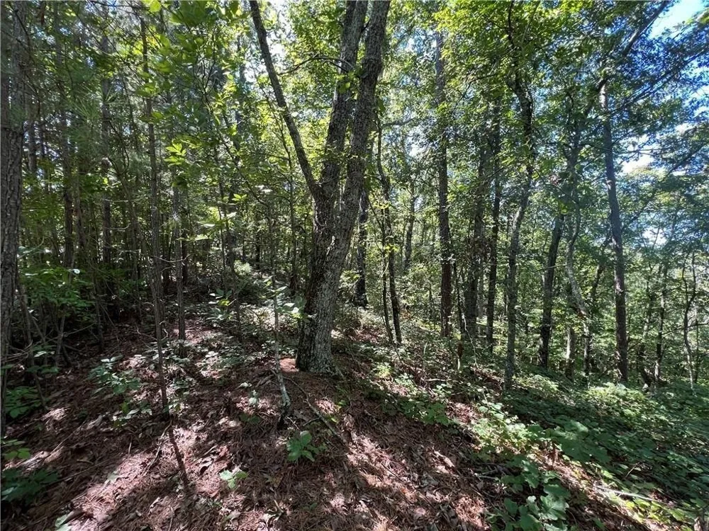 16 Hawks Branch LN White, GA 30184