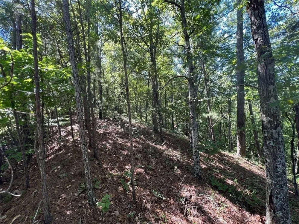 16 Hawks Branch LN White, GA 30184