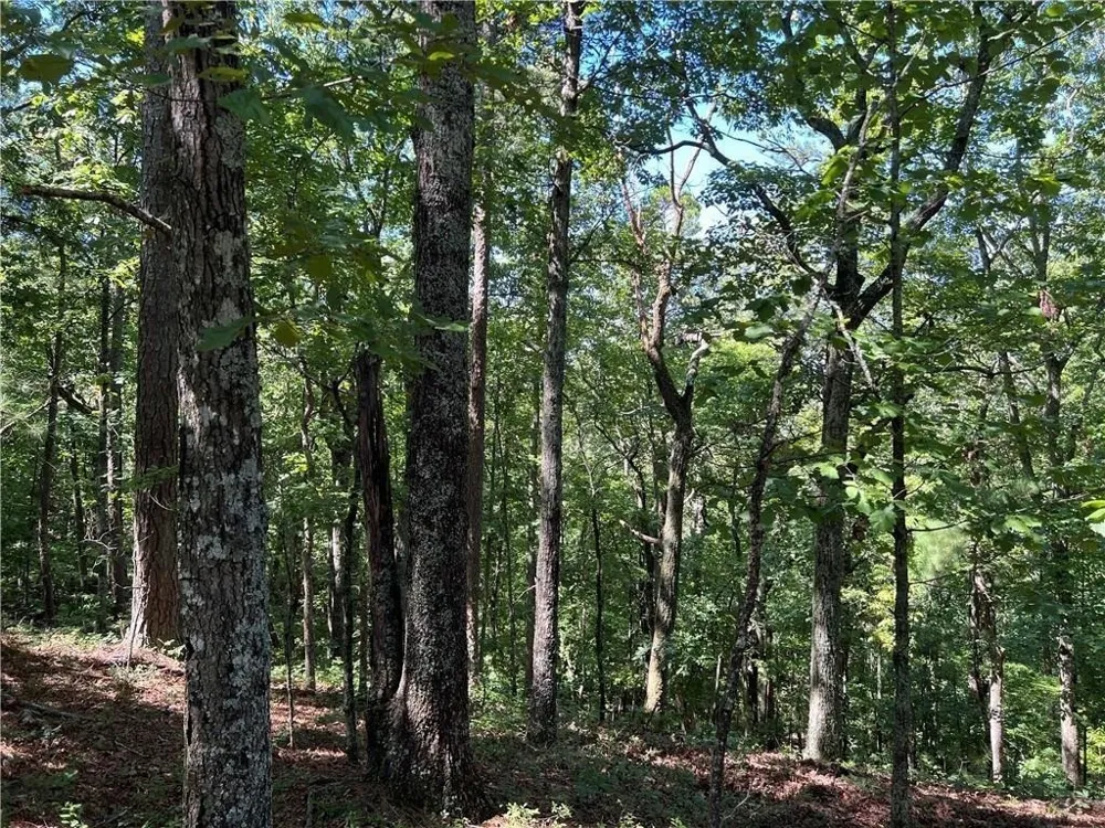 16 Hawks Branch LN White, GA 30184