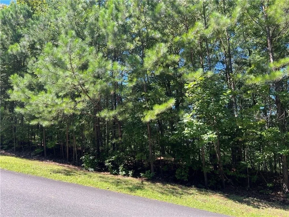 16 Hawks Branch LN White, GA 30184