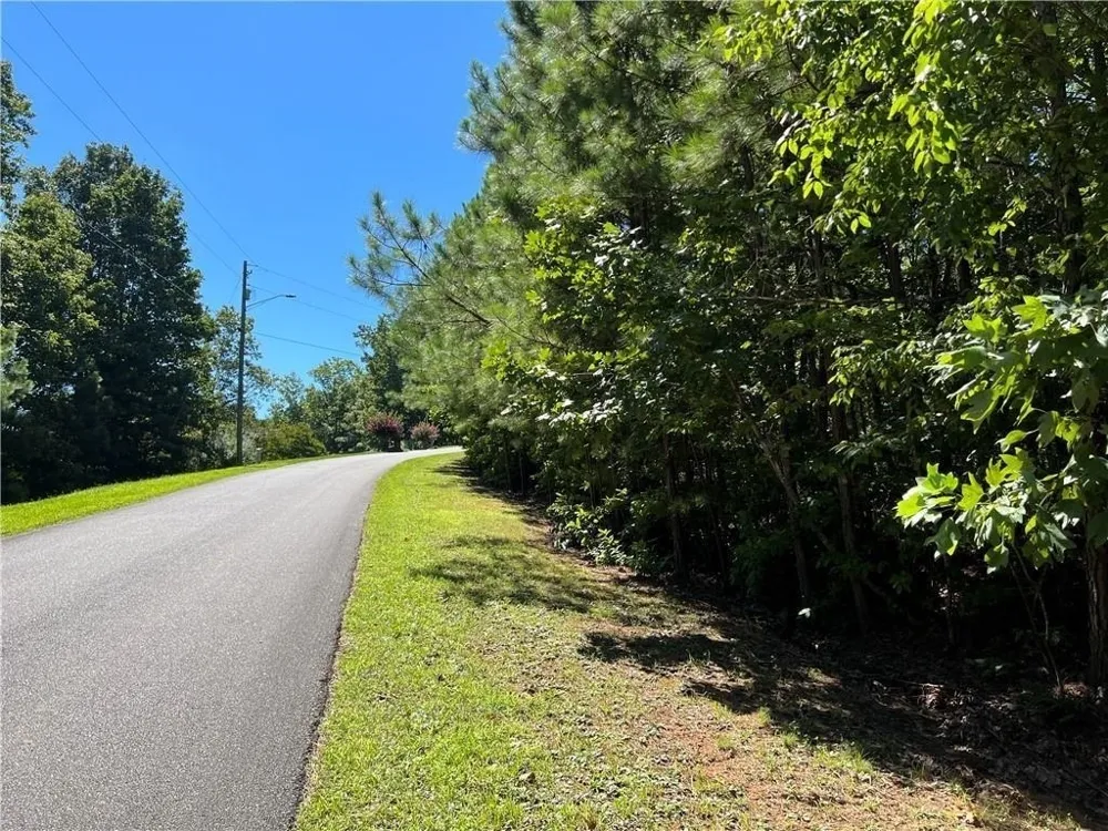 16 Hawks Branch LN White, GA 30184