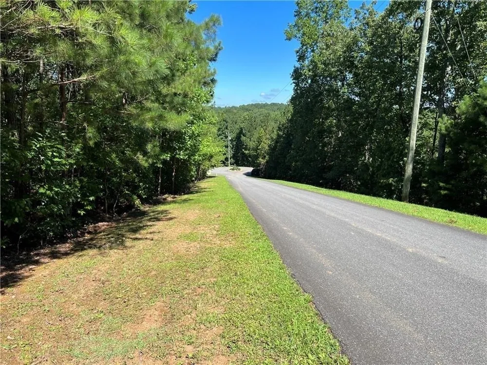 16 Hawks Branch LN White, GA 30184