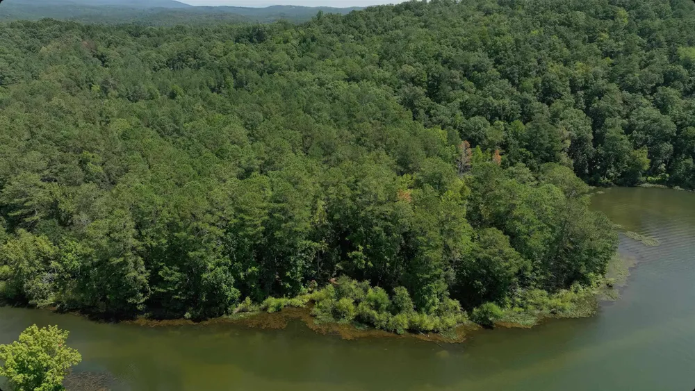 16 Hawks Branch LN White, GA 30184