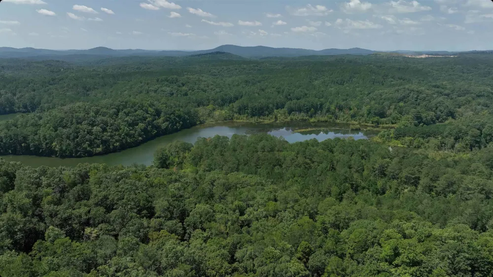 16 Hawks Branch LN White, GA 30184