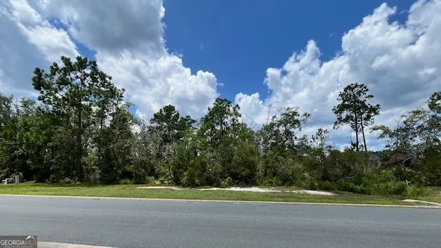 LOT 122 Marina Isle DR Woodbine, GA 31569