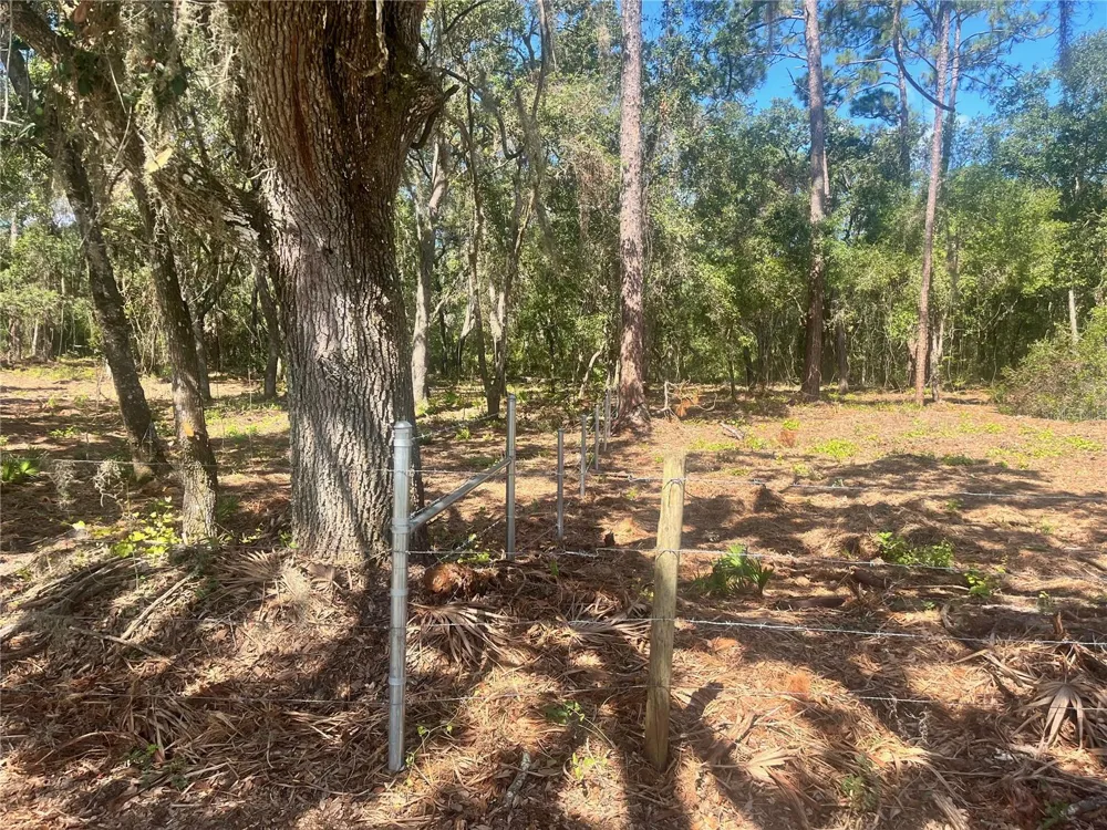 2 SENDCASTLE DRIVE Groveland, FL 34736