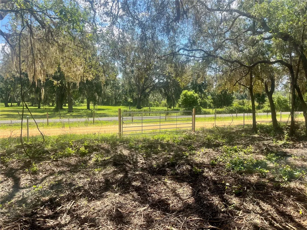 2 SENDCASTLE DRIVE Groveland, FL 34736