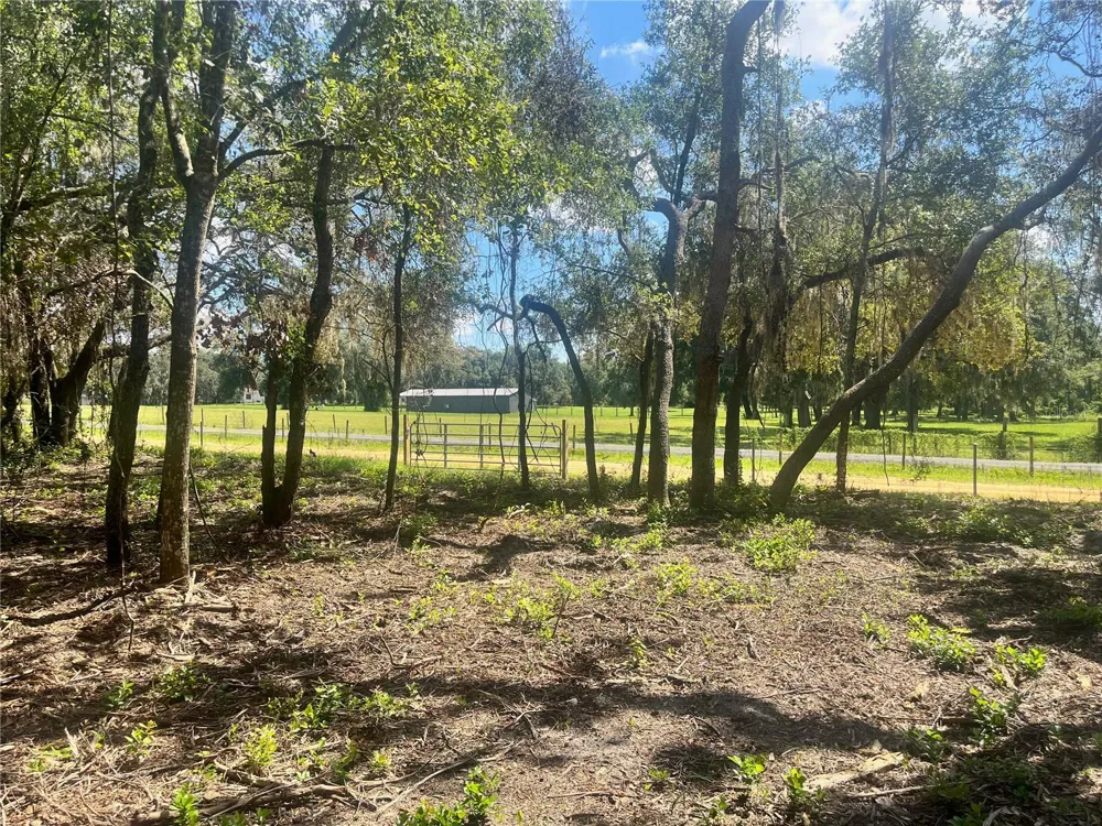 2 SENDCASTLE DRIVE Groveland, FL 34736