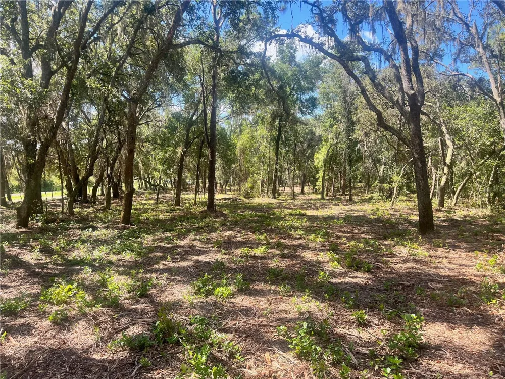 2 SENDCASTLE DRIVE Groveland, FL 34736
