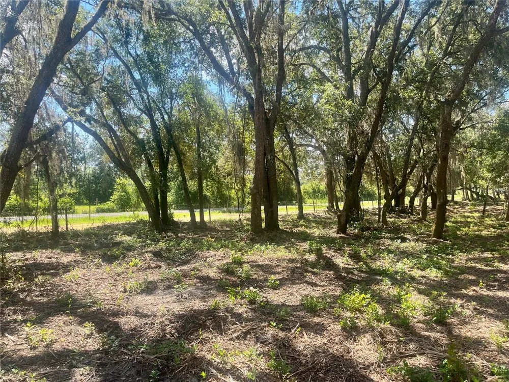 2 SENDCASTLE DRIVE Groveland, FL 34736