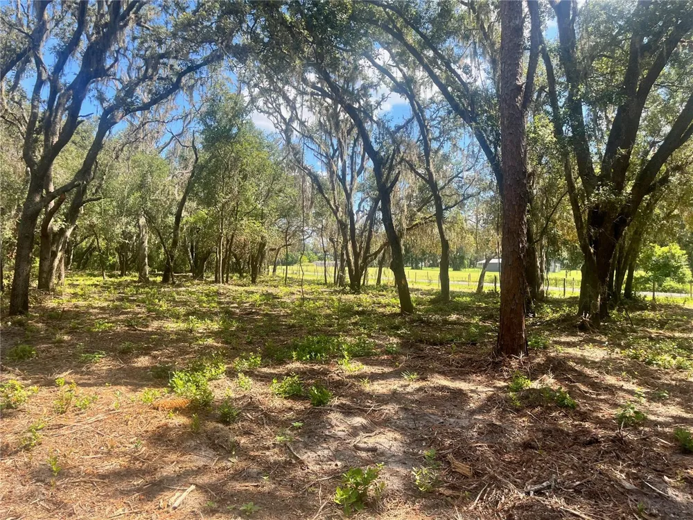2 SENDCASTLE DRIVE Groveland, FL 34736
