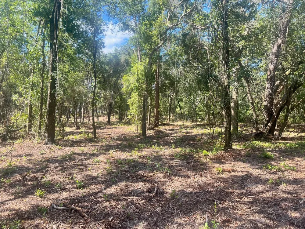 2 SENDCASTLE DRIVE Groveland, FL 34736