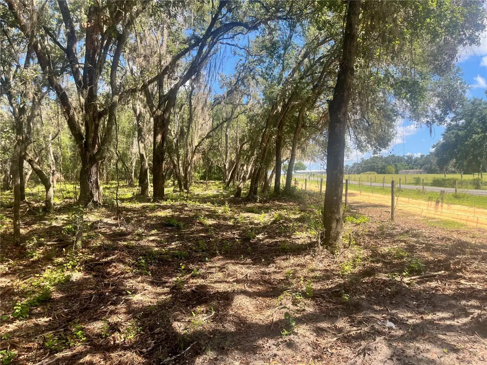 2 SENDCASTLE DRIVE Groveland, FL 34736