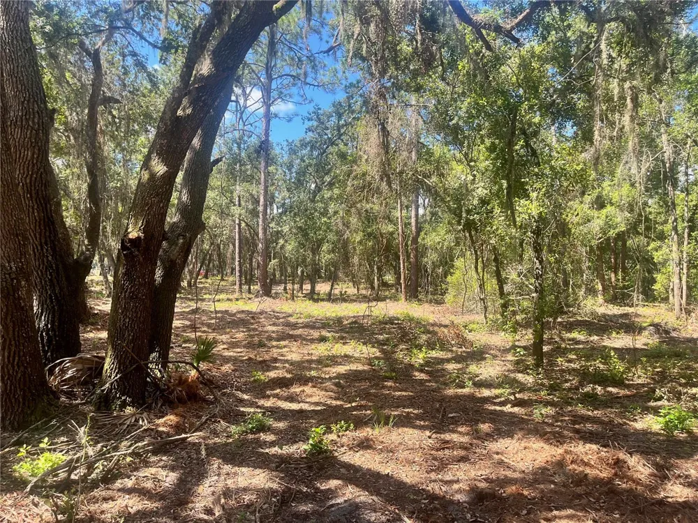 2 SENDCASTLE DRIVE Groveland, FL 34736