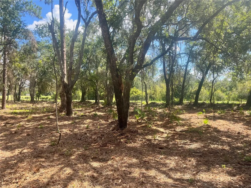 2 SENDCASTLE DRIVE Groveland, FL 34736