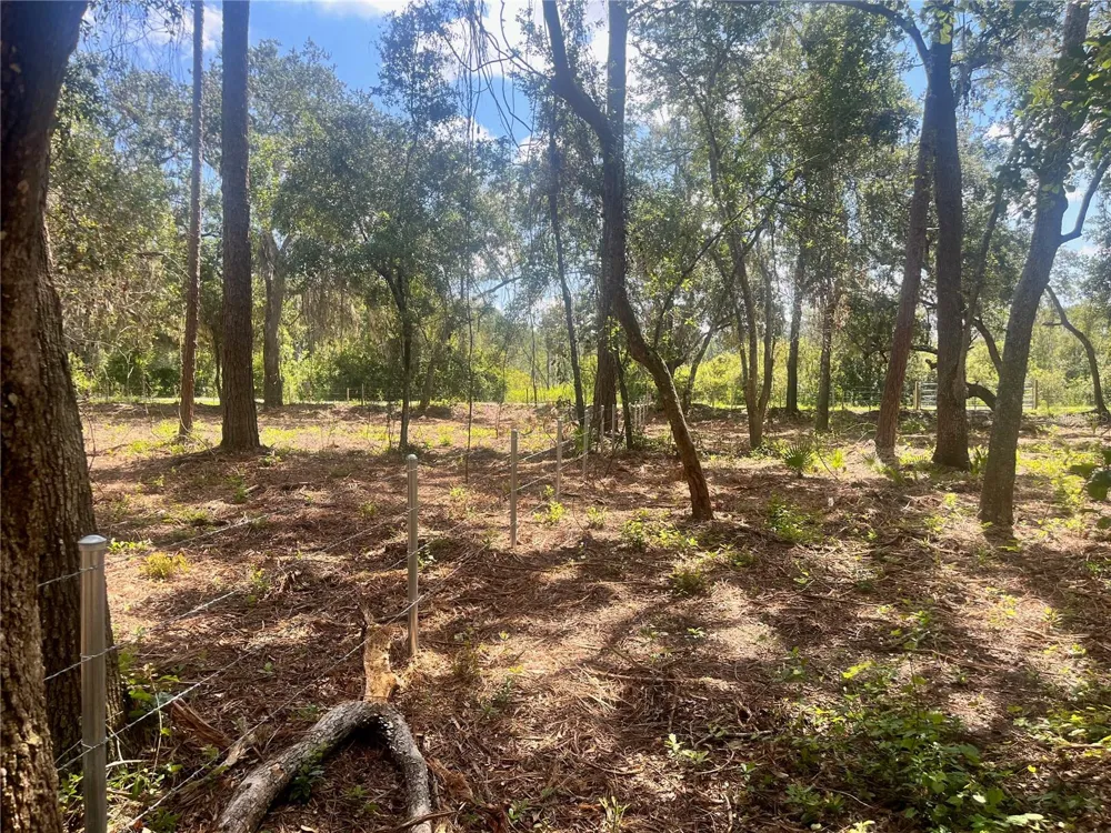 2 SENDCASTLE DRIVE Groveland, FL 34736