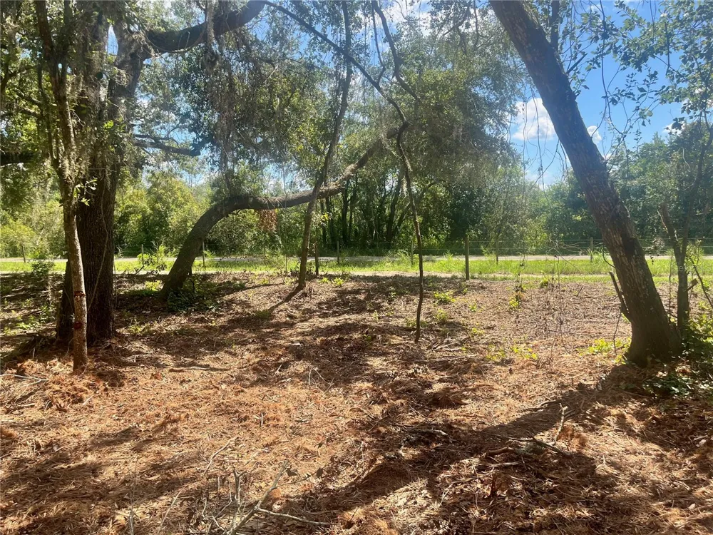 2 SENDCASTLE DRIVE Groveland, FL 34736