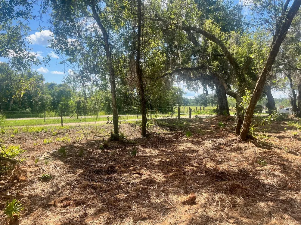 2 SENDCASTLE DRIVE Groveland, FL 34736