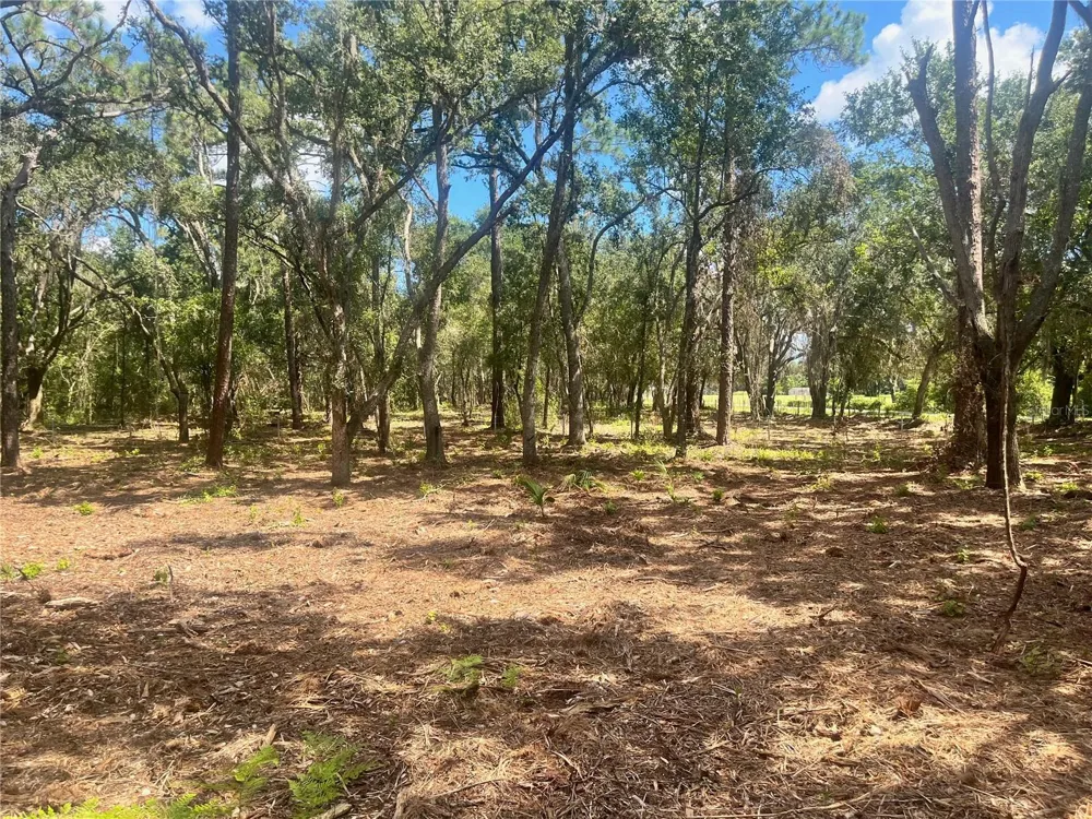 2 SENDCASTLE DRIVE Groveland, FL 34736
