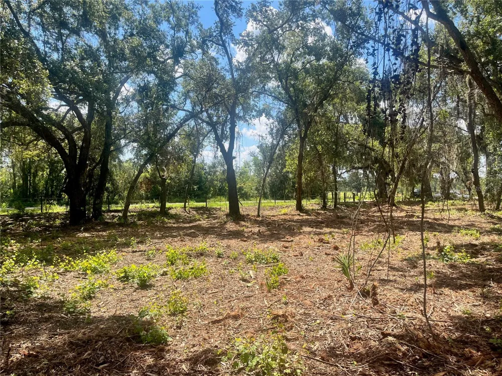 2 SENDCASTLE DRIVE Groveland, FL 34736