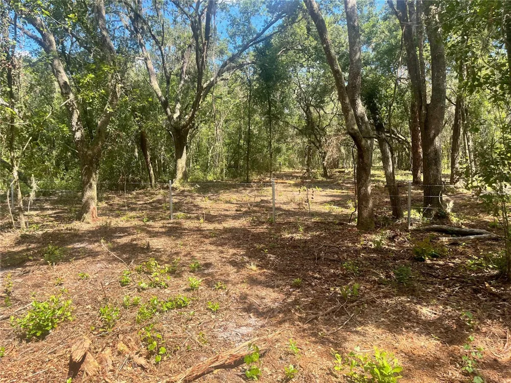 2 SENDCASTLE DRIVE Groveland, FL 34736