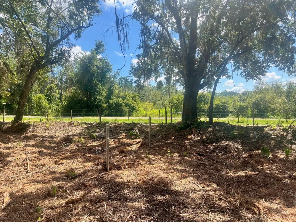 2 SENDCASTLE DRIVE Groveland, FL 34736