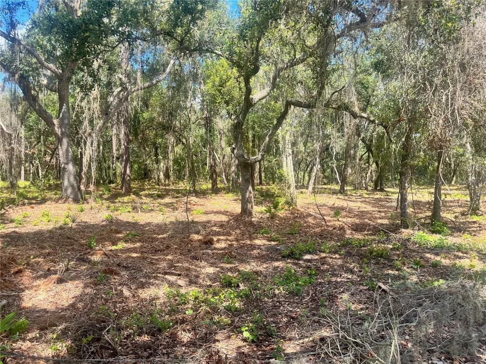 2 SENDCASTLE DRIVE Groveland, FL 34736