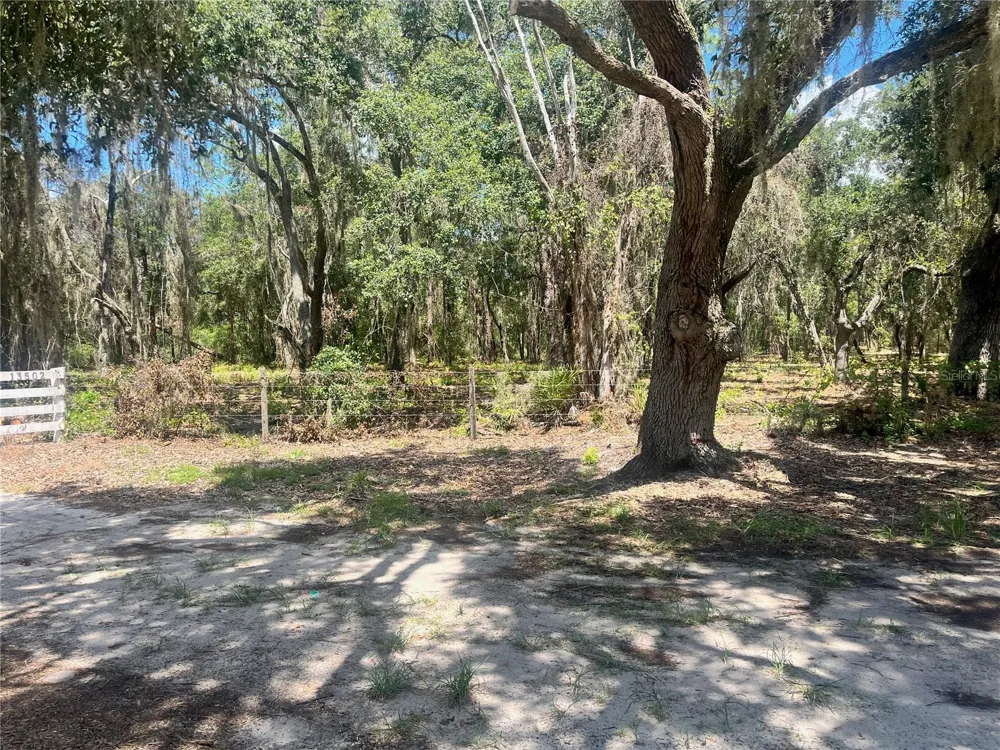 2 SENDCASTLE DRIVE Groveland, FL 34736