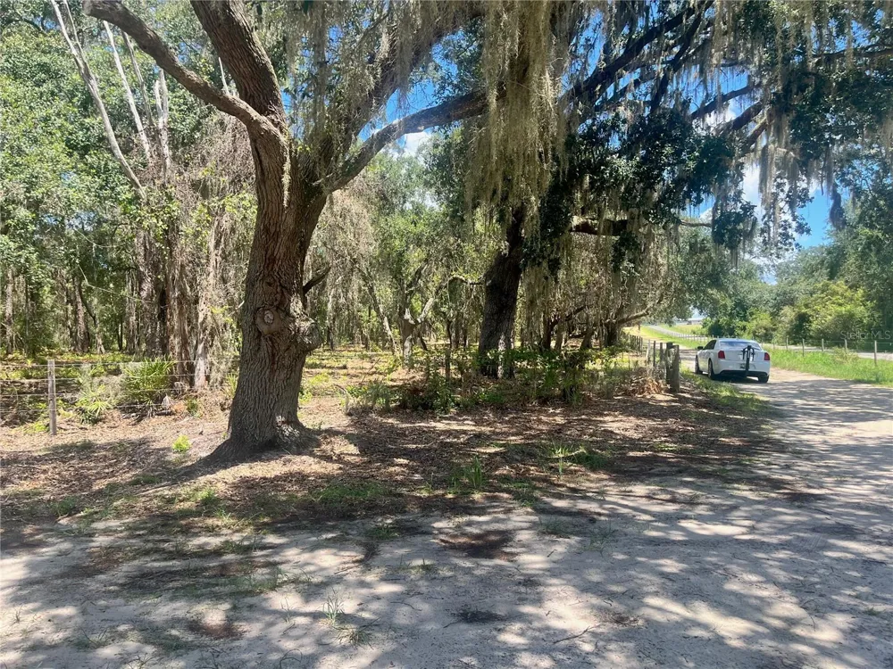 2 SENDCASTLE DRIVE Groveland, FL 34736