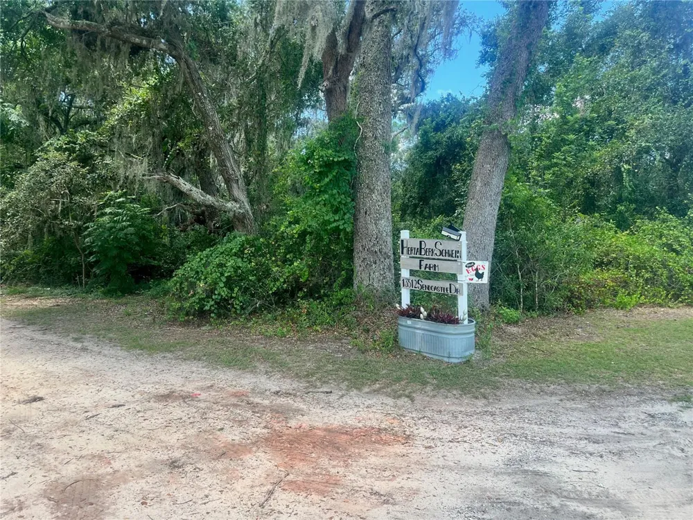 2 SENDCASTLE DRIVE Groveland, FL 34736