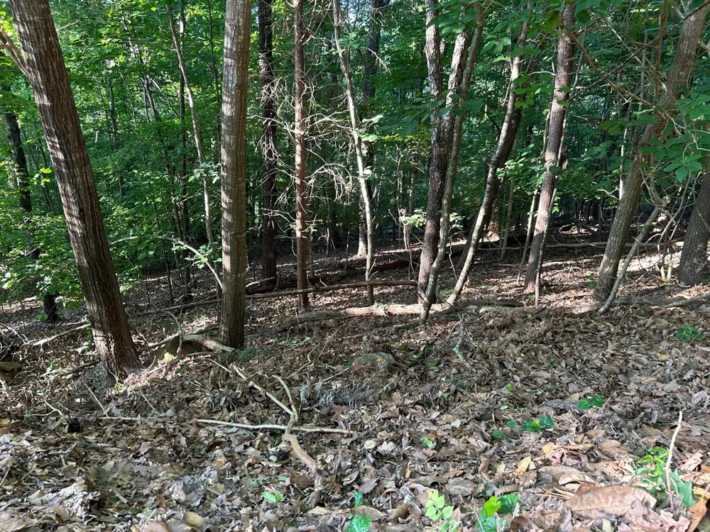 221 Mays Mills Drive #27 Cramerton, NC 28012