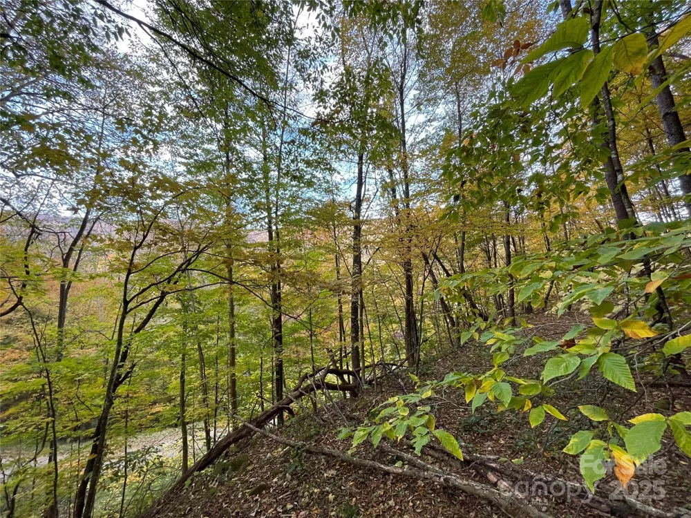 96 Chestnut Lane #96 Mars Hill, NC 28754