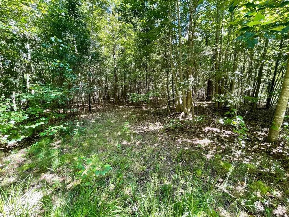 742 Harmony Gates Drive Commerce, GA 30530
