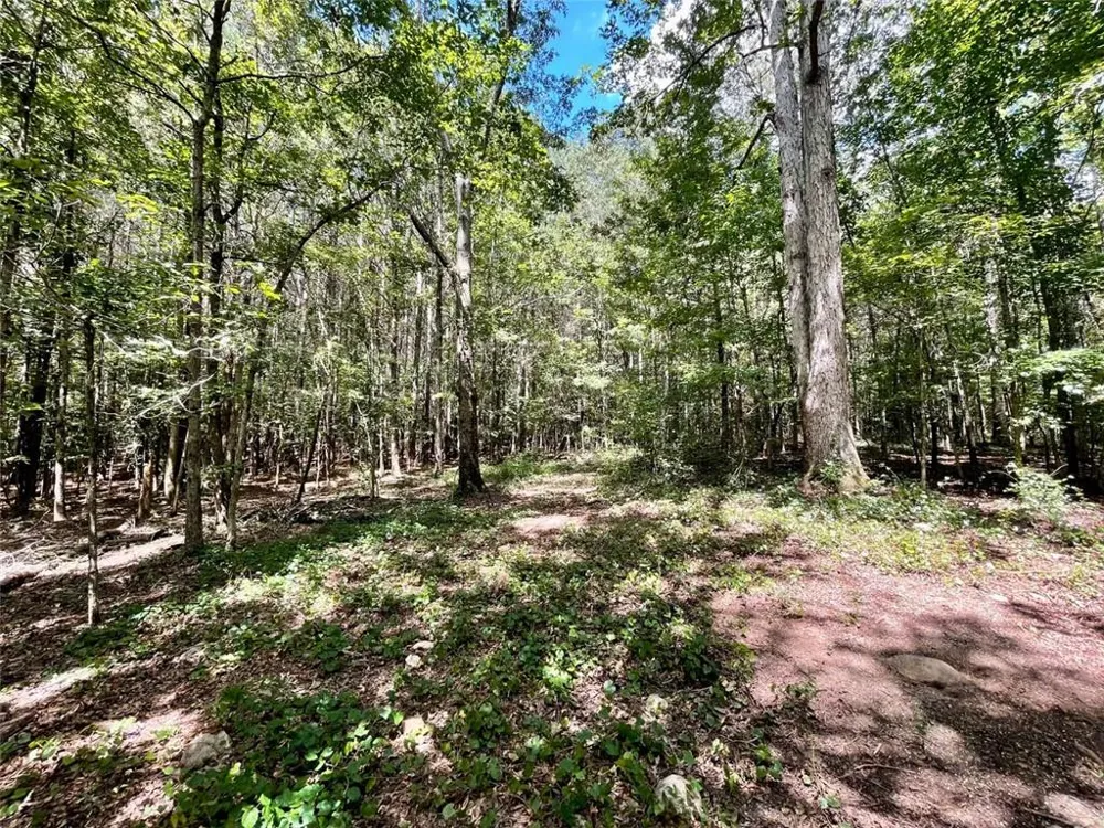 742 Harmony Gates Drive Commerce, GA 30530