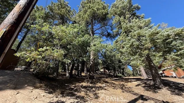 33112 Juniper Lane Green Valley Lake, CA 92341
