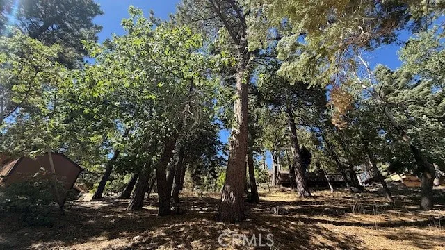 33112 Juniper Lane Green Valley Lake, CA 92341