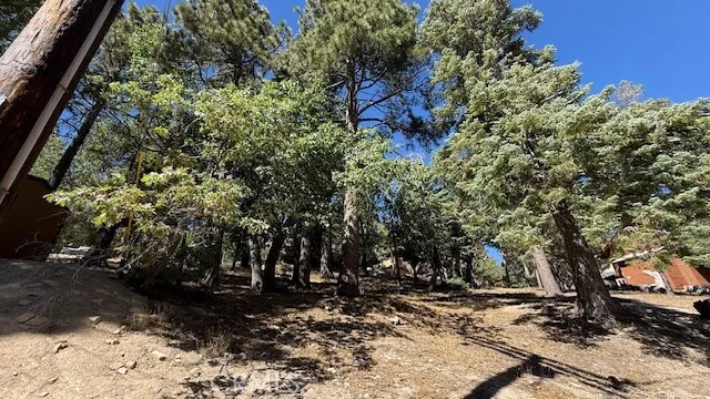 33112 Juniper Lane Green Valley Lake, CA 92341