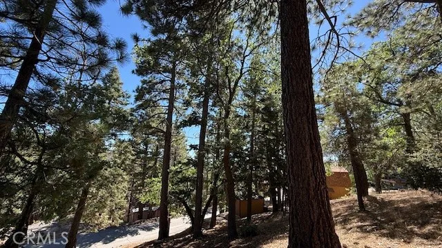 33112 Juniper Lane Green Valley Lake, CA 92341