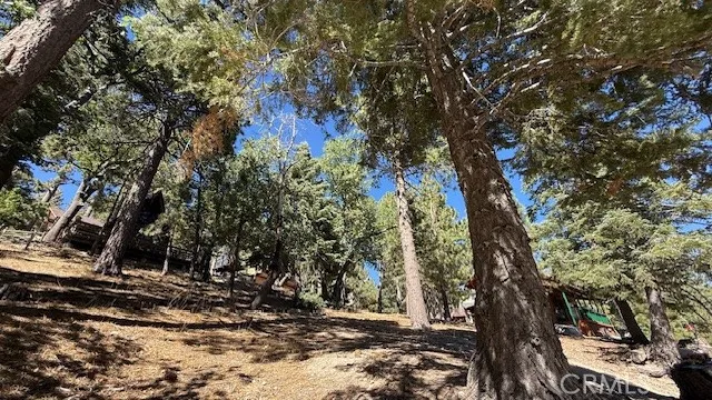 33112 Juniper Lane Green Valley Lake, CA 92341
