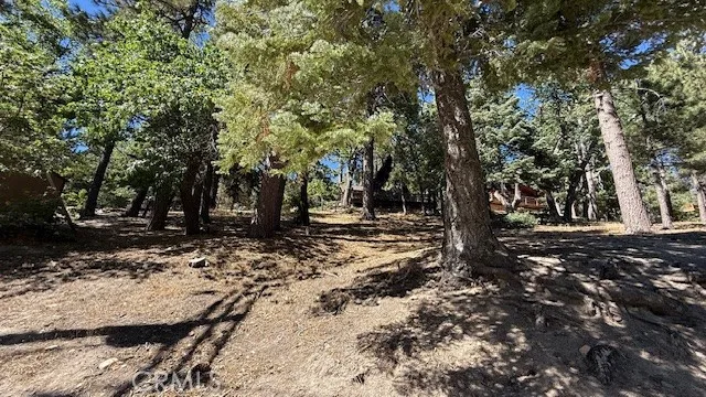 33112 Juniper Lane Green Valley Lake, CA 92341