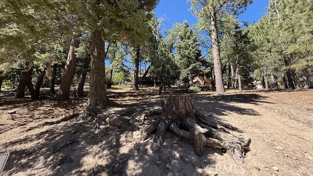 33112 Juniper Lane Green Valley Lake, CA 92341